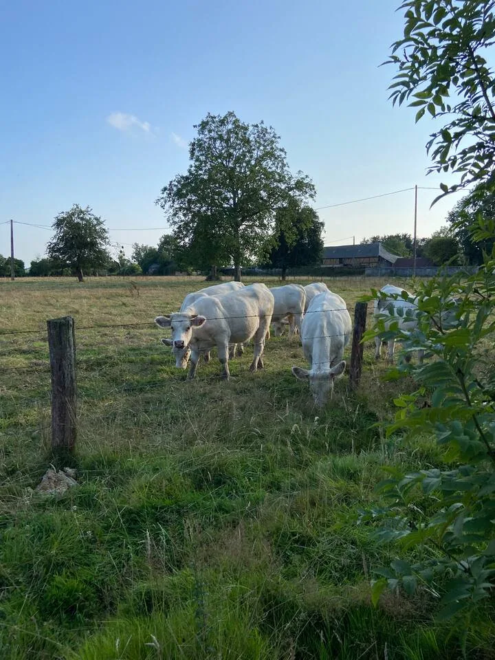 Le pré voisin, La Villa Saint-Léger, Beuzeville, Normandie